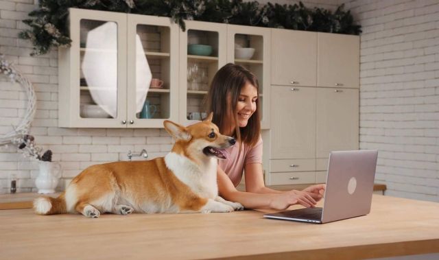 ´Buscamos una agencia de marketing completa y con experiencia, y la encontramos´, afirman en Wolves Legacy - 1, Foto 1