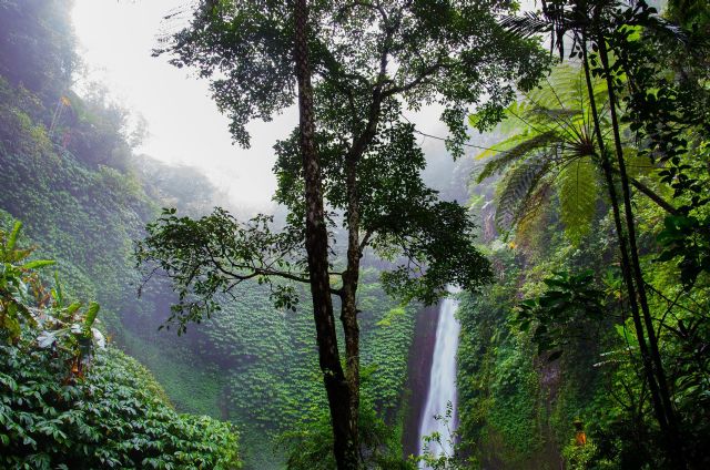 Los productos de la empresa de fitness son compatibles con la plataforma de entrenamiento Volava - 1, Foto 1
