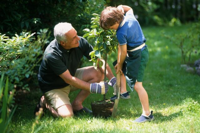 La Dra. Xenia Vorobieva explica de qué manera usar el NeuroActivit - 1, Foto 1