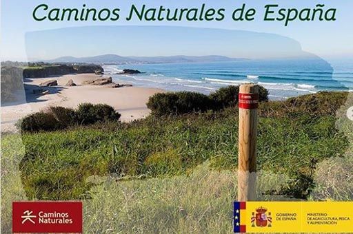 Planas: La red de Caminos Naturales permite adentrarse en el medio rural para descubrir naturaleza y disfrutar de los Alimentos de España - 1, Foto 1
