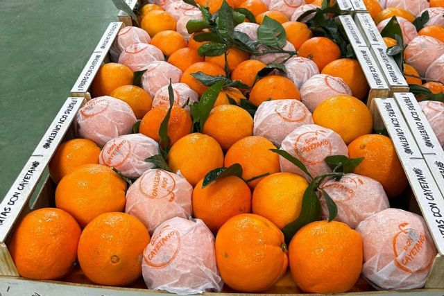 La empresa especializada en la exportación de frutas de hueso y cítricos, Frutas Don Cayetano - 1, Foto 1