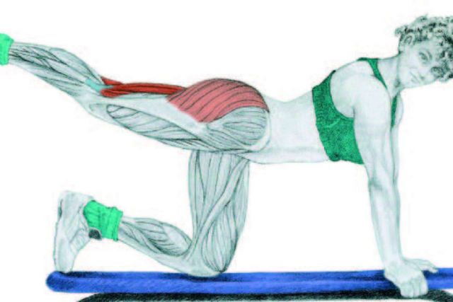 Oscar Morán presenta el Manual de Entrenamiento GAP; Glúteos, Abdomen, Piernas - 1, Foto 1