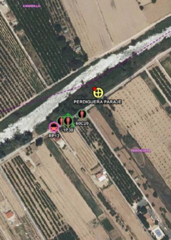 Incendio en el Paraje Perdiguera, Cieza - 1, Foto 1