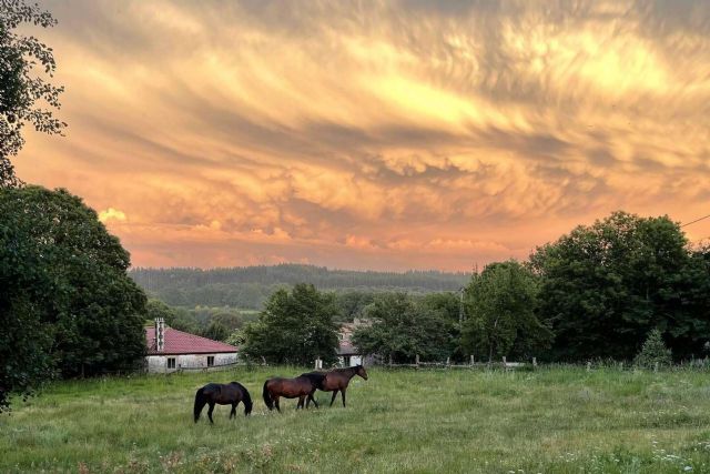 Un hotel centrado en el cuidado del peregrino, Hotel La Rectoral - 1, Foto 1