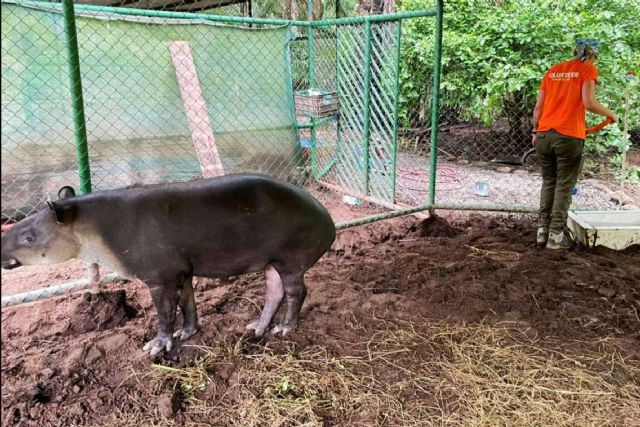 La ONG especializada en la gestión y organización de voluntariado internacional, Cooperatour - 1, Foto 1