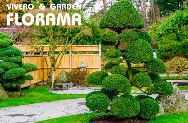 La poda de árboles por salud y seguridad, por VIVEROS FLORAMA - 1, Foto 1