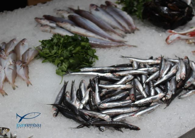 Riembau Peix i Marisc apuesta por el comercio electrónico gracias al Kit Digital - 1, Foto 1