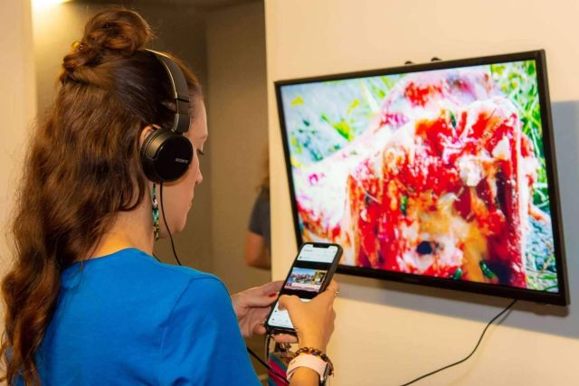 Eventos en Miami, Venezuela y Aruba cierran la XVII edición de MNMF - 1, Foto 1