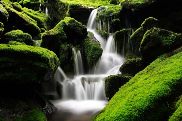 Molina Caballero explica las tendencias en reformas de cocina - 1, Foto 1