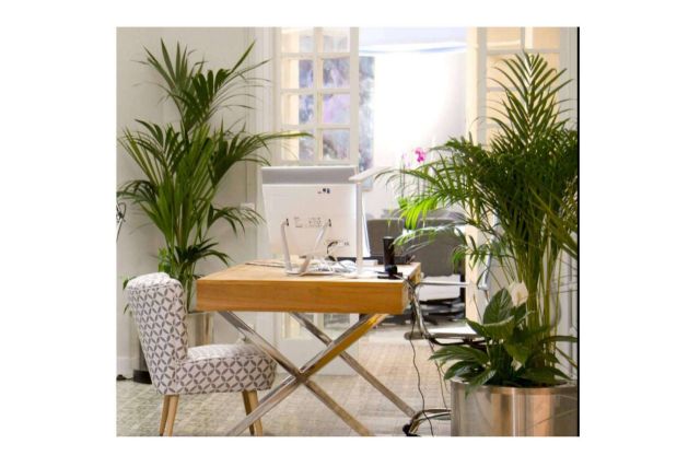 WEKOW, espacios de coworking cómodos y económicos - 1, Foto 1