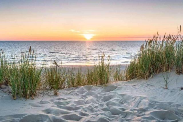 La Marinada, una villa espectacular situada en la Reserva Natural del Delta del Ebro - 1, Foto 1