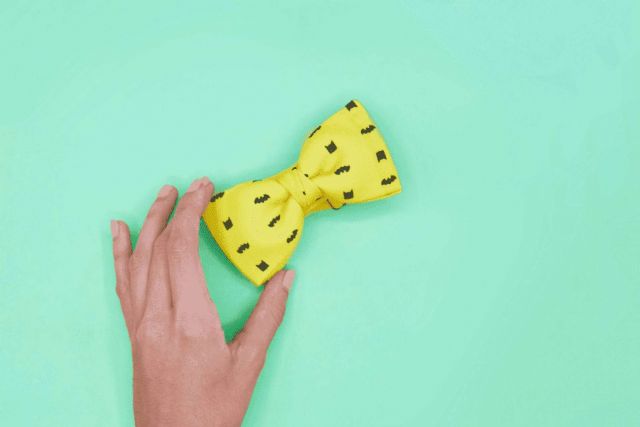 Pajaritas y corbatas originales presentes en las bodas en 2023 - 1, Foto 1