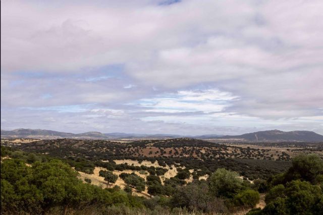 Realizar rutas de senderismo en Alamillo - 1, Foto 1
