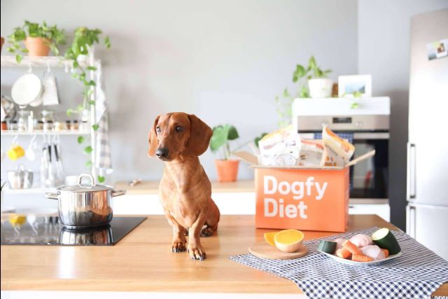 Dogfy Diet y los beneficios de la comida natural para perros - 1, Foto 1