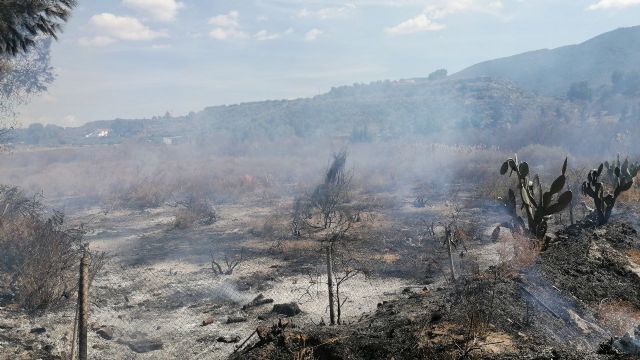 Incendio en terreno agrcola abandonado en El Caarico, Foto 1