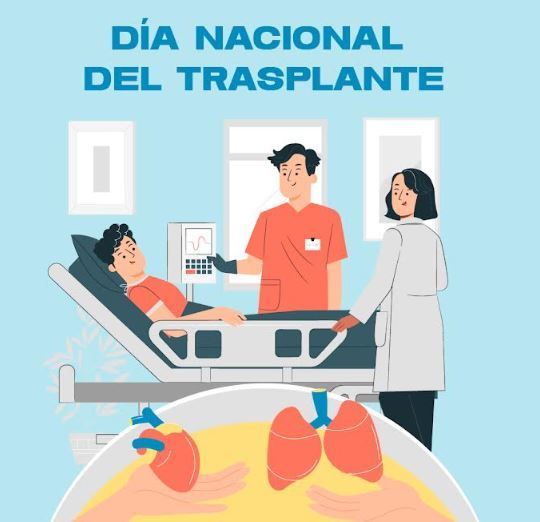 Los fisioterapeutas inciden en la importancia de su labor en los pacientes con trasplantes según el CGCFE - 1, Foto 1