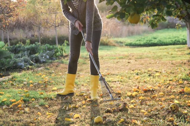 Podas Madrid, la empresa que ofrece servicios de desbroces y limpiezas de fincas y parcelas - 1, Foto 1