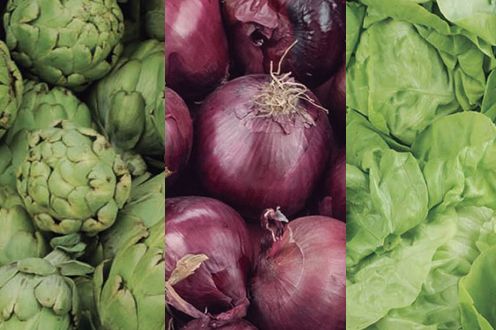 Agricultura, Pesca y Alimentación convoca ayudas para las Entidades Asociativas Prioritarias por valor de 33,5 millones de euros - 1, Foto 1