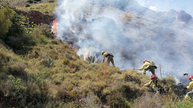 Efectivos del Plan Infomur extinguen un incendio forestal en Portman - 1, Foto 1