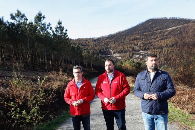 Félix Bolaños analiza sobre el terreno los daños causados por la última oleada de incendios en Asturias - 1, Foto 1