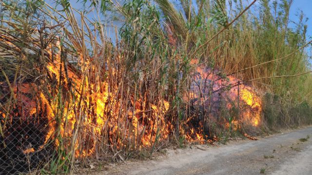 Efectivos adscritos al Plan Infomur se dirigen a un incendio de cañas y matorral en el margen del Río cerca de la presa del Río en Cieza - 1, Foto 1