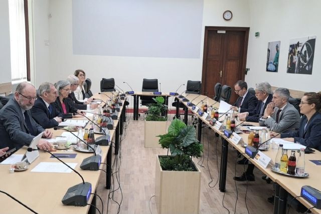 Grande-Marlaska traslada al ministro del Interior de Hungría las prioridades de la próxima presidencia española de la UE - 1, Foto 1