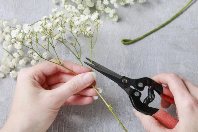 La paniculata blanca está disponible en Rosistirem - 1, Foto 1