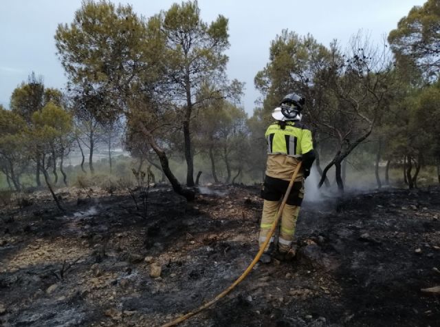 Servicios de emergencia han acudido esta pasada madrugada a extinguir siete conatos de incendios forestales en Cehegín en la sierra del Burete y uno en Blanca en la sierra de la Pila - 1, Foto 1