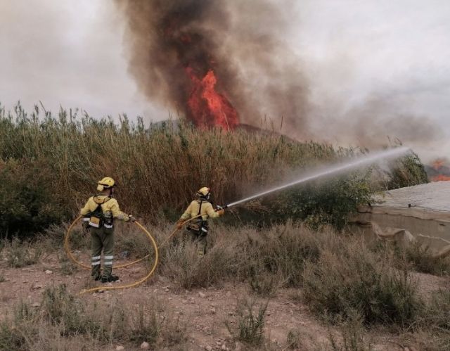 Incendio de cañas y matorral en Mazarrón, Foto 1