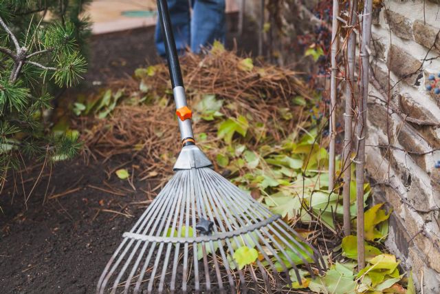 Limpieza de parcelas en Madrid con el equipo experto de la empresa Podas Madrid - 1, Foto 1