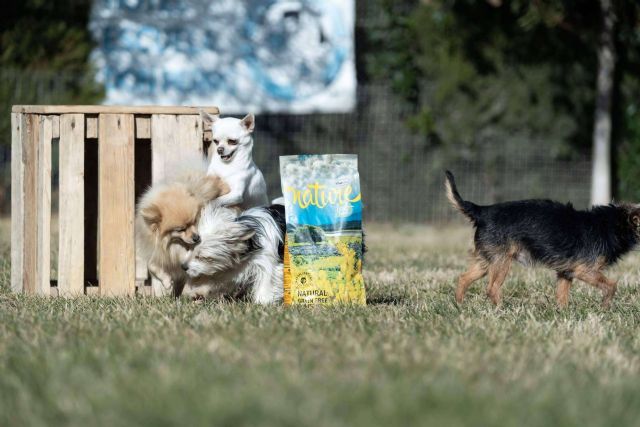 Pienso para perros sin cereales, con la gama Nature de Satisfaction - 1, Foto 1