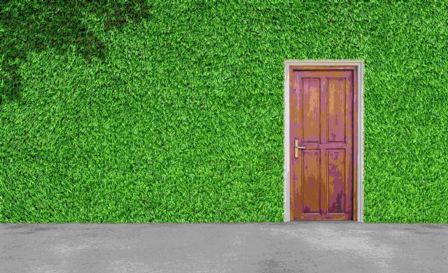 Acerca del modelo de negocio disruptivo en la distribución de césped artificial en España de Céspedstock - 1, Foto 1