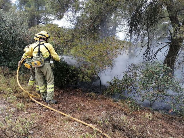 Conato de incendio forestal en la Sierra de Burete, Cehegín - 1, Foto 1