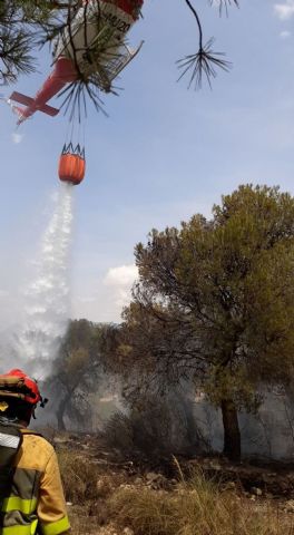 Conato de incendio forestal declarado en las inmediaciones de La Zarza, Abanilla - 1, Foto 1