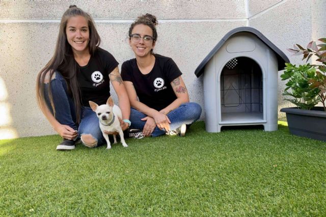 ¿Cuál es valor diferencial de los servicios de El Perro Feliz Madrid Centro? - 1, Foto 1