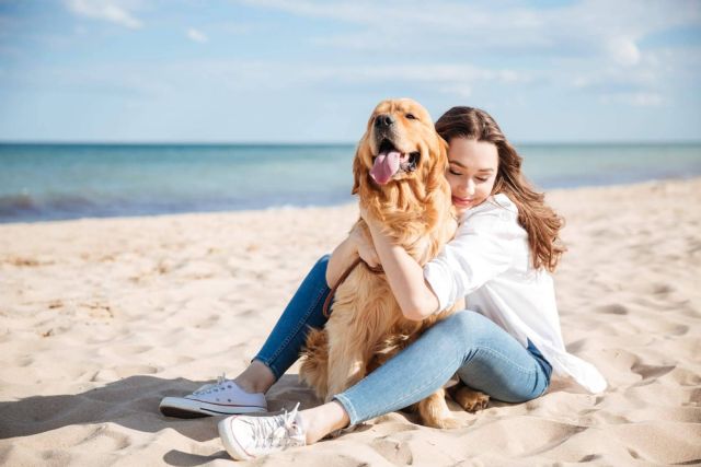 La vida de los animales de refugio está siendo transformada gracias al buscador de adopciones ADOPTA - 1, Foto 1
