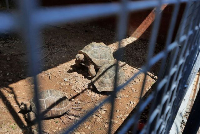 8.784 animales murieron entre 2015 y 2020 en España por delitos contra la vida silvestre - 1, Foto 1