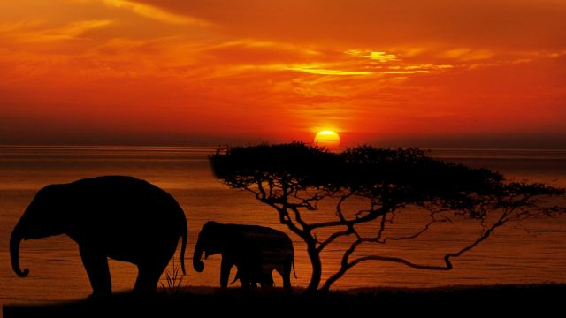 La agencia Viajes Exóticos estrena su nueva página web con el Kit Digital empleando un diseño dinámico y atractivo - 1, Foto 1