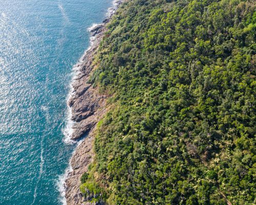 Dentomedic explica en qué consiste la lengua geográfica - 1, Foto 1