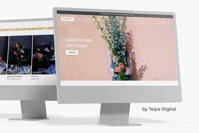 La inteligencia artificial ayuda al éxito de un e-commerce con Teipe Digital - 1, Foto 1