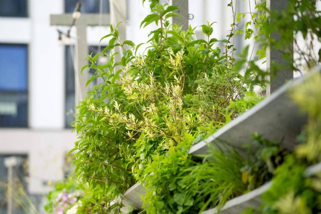 MunicipiODS ayuda a conseguir municipios y ciudades sostenibles - 1, Foto 1