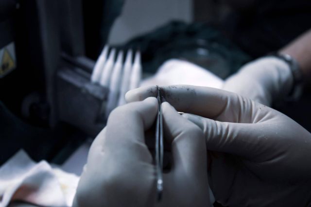 Tratamientos capilares en Madrid con los expertos de Capilar Innovation Clinic y el doctor Jesús Mora - 1, Foto 1