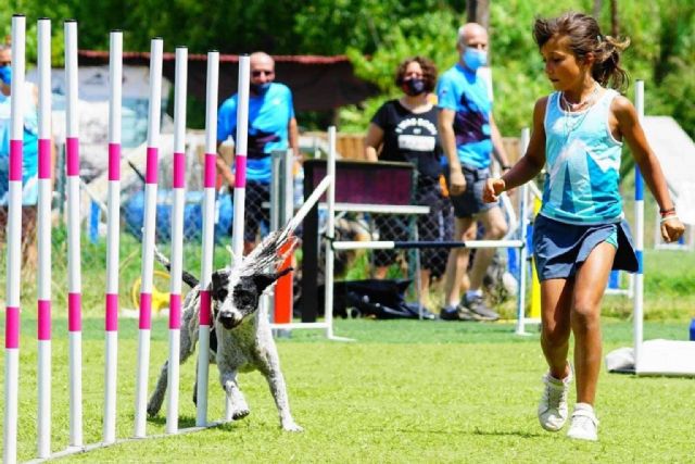 El club L’Almozara Can Bosc y sus clases de agility junior para niños a partir de 6 años - 1, Foto 1