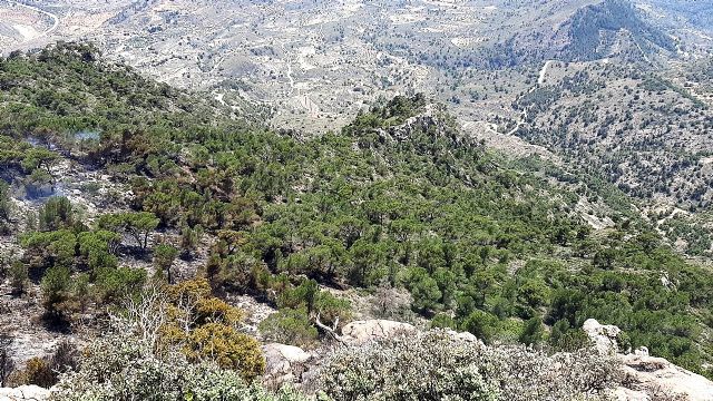 Controlado el incendio forestal en la Sierra de la Pila - 1, Foto 1