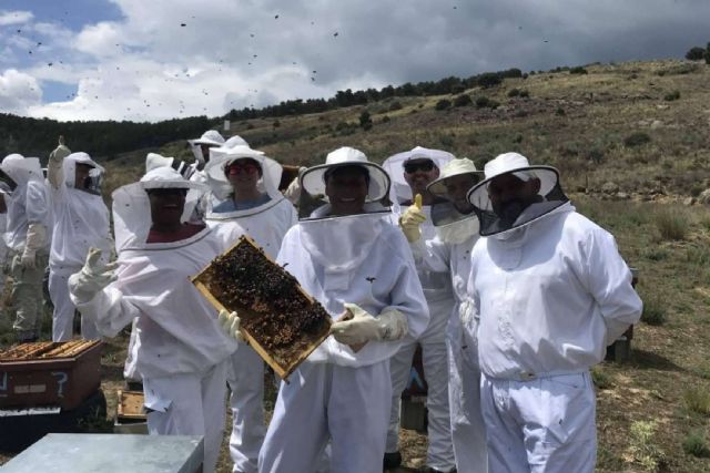 Aprovechar este verano adquiriendo nuevos conocimientos, apicultura - 1, Foto 1