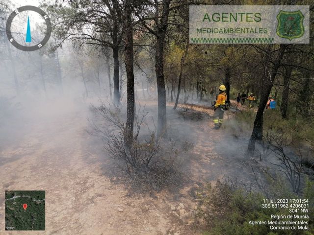 Conato de incendio forestal en las inmediaciones del Puente del Diablo - 1, Foto 1