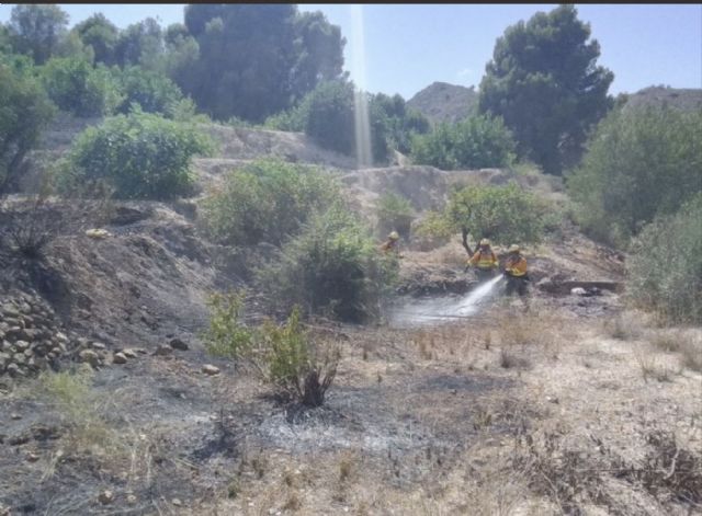 Servicios de emergencia apagan incendio agrícola en Blanca - 1, Foto 1