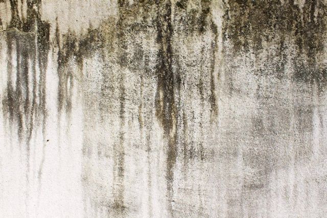 Satemediterraneo y sus sistemas innovadores para evitar la humedad en paredes y proteger la salud familiar - 1, Foto 1