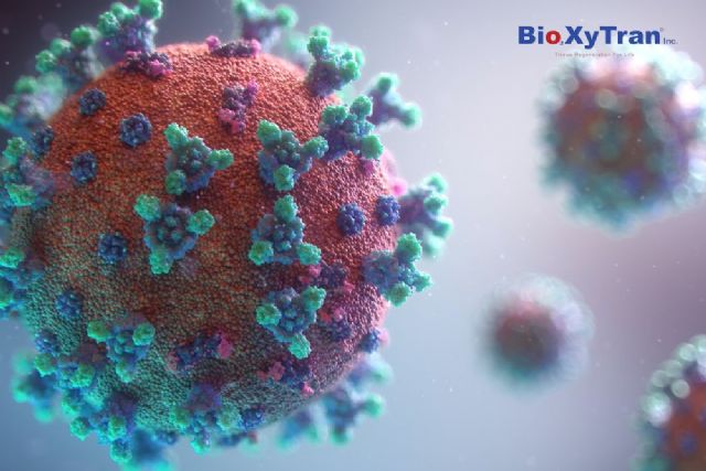 Bioxytran anuncia la aprobación de la FDA de su solicitud IND para ProLectin-M en ensayos clínicos - 1, Foto 1