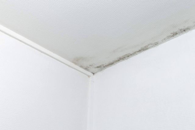 SATE Mediterráneo sobre cómo evitar la condensación en el techo - 1, Foto 1